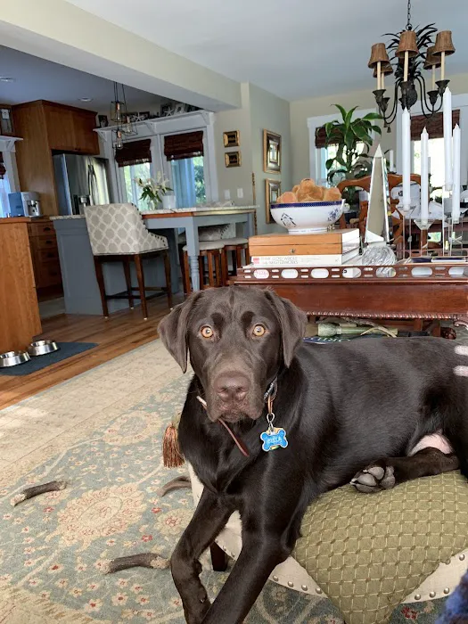 Forest Hills Veterinary Hospital Picture 4