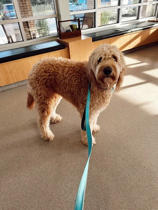 Forest Hills Veterinary Hospital Picture 9