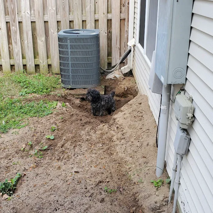 Forest Hills Veterinary Hospital Picture 10