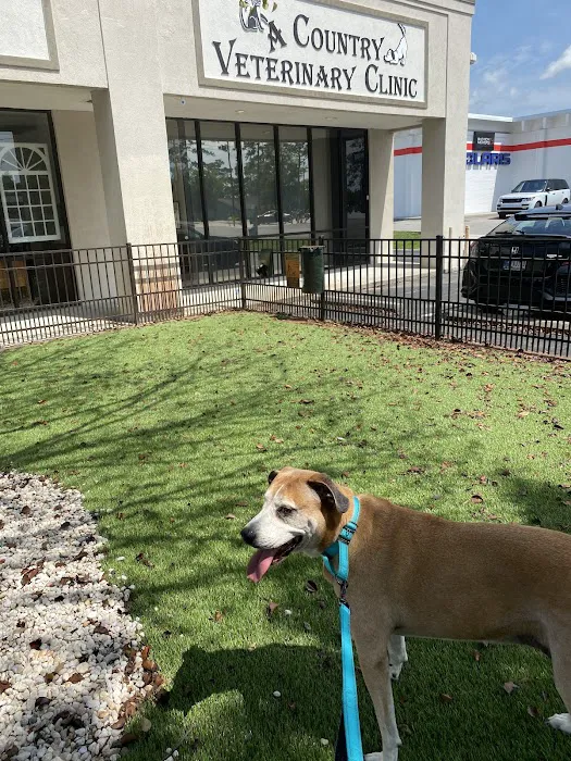 A Country Veterinary Clinic Picture 1