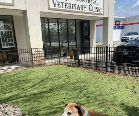 A Country Veterinary Clinic