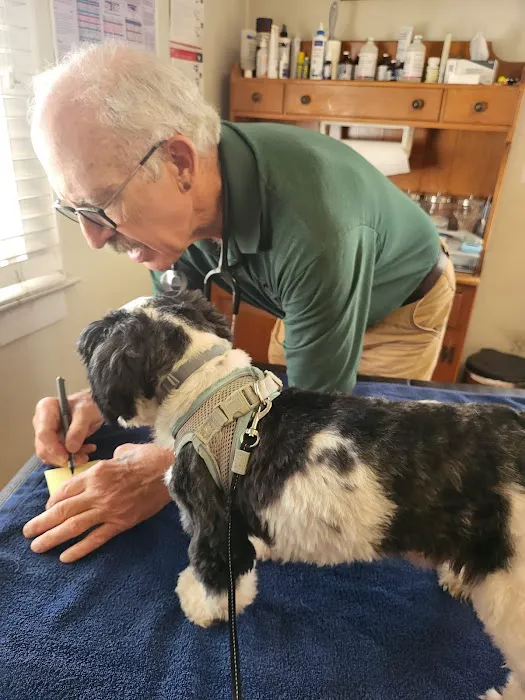 Wellspring Holistic Veterinary Care Picture 2