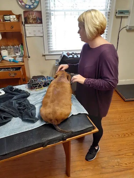 Wellspring Holistic Veterinary Care Picture 6