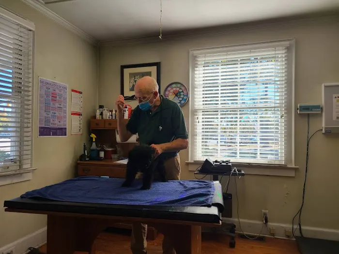 Wellspring Holistic Veterinary Care Picture 10