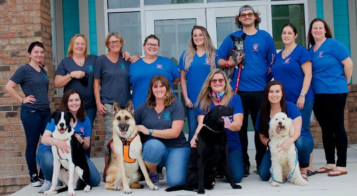 Surf City Pet Hospital Picture 1