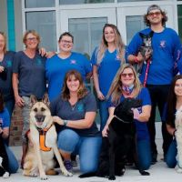 Surf City Pet Hospital ico