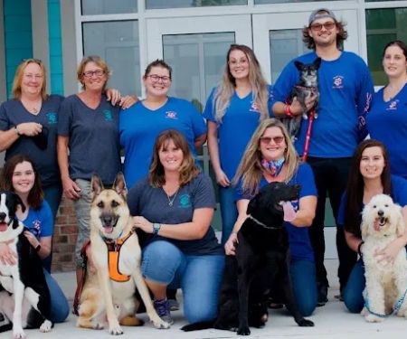Surf City Pet Hospital