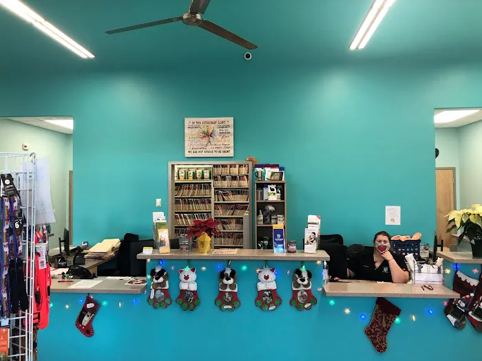Surf City Pet Hospital Picture 3