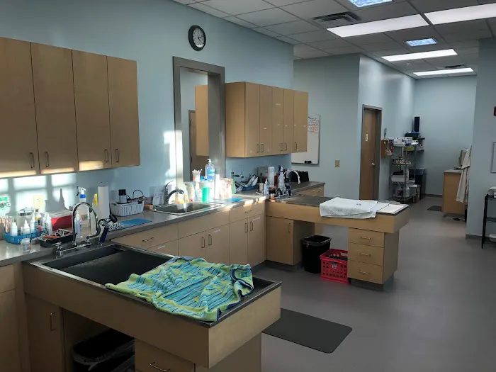 Surf City Pet Hospital Picture 2