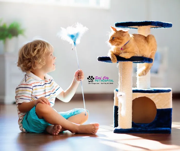 Surf City Pet Hospital Picture 9