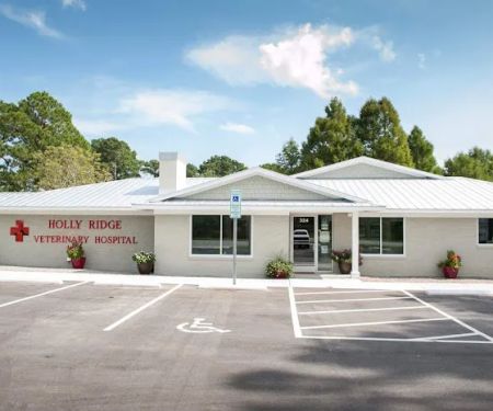 Holly Ridge Veterinary Hospital