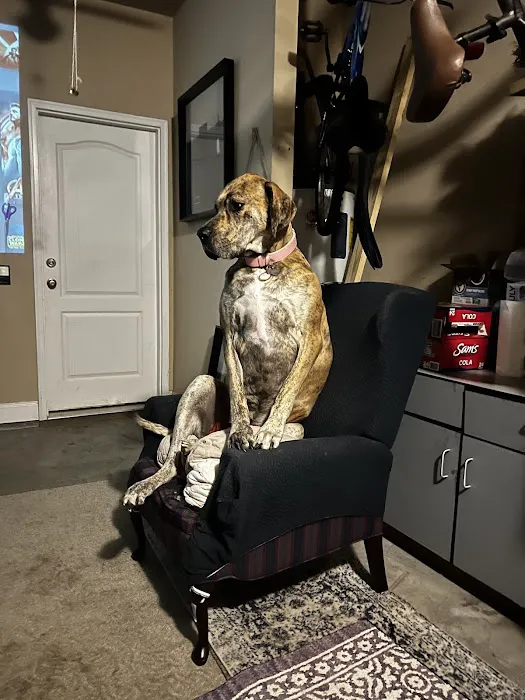 Holly Ridge Veterinary Hospital Picture 5