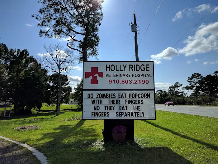 Holly Ridge Veterinary Hospital Picture 2