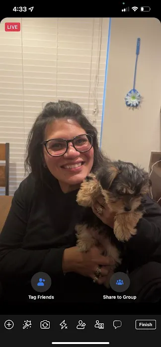 All Pets Animal Hospital Picture 8