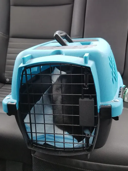 Woodstock Spay & Neuter Clinic Picture 6