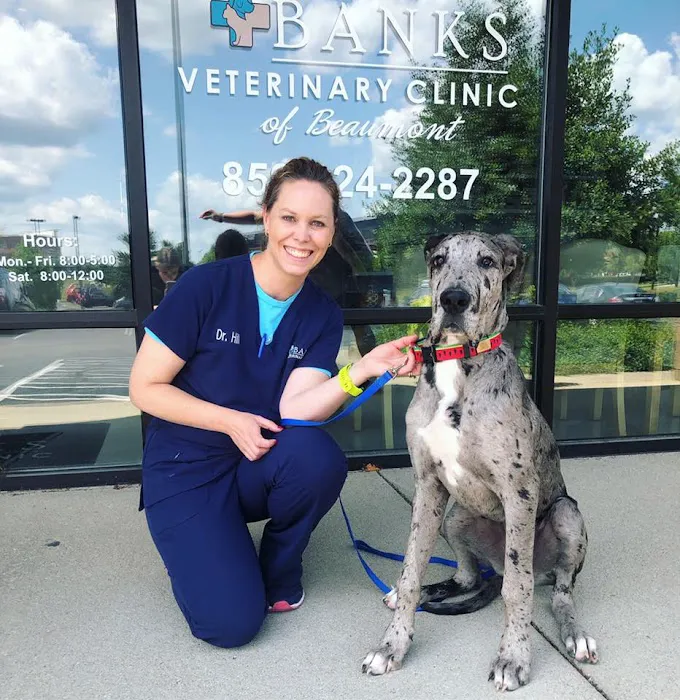 Banks Veterinary Clinic Picture 2