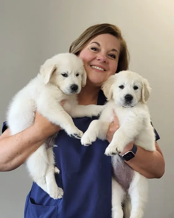 Banks Veterinary Clinic Picture 1