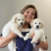 Banks Veterinary Clinic ico