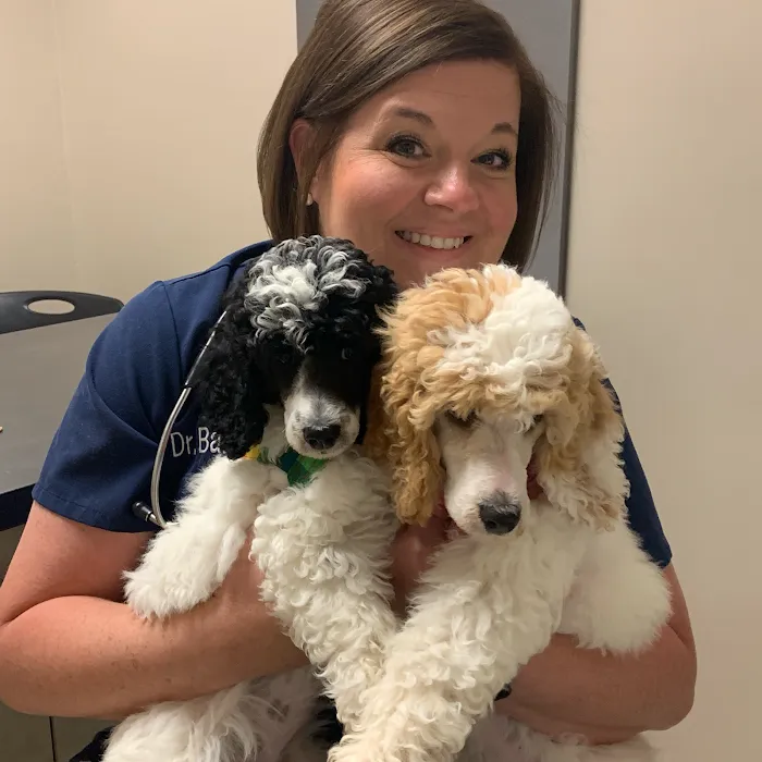 Banks Veterinary Clinic Picture 4