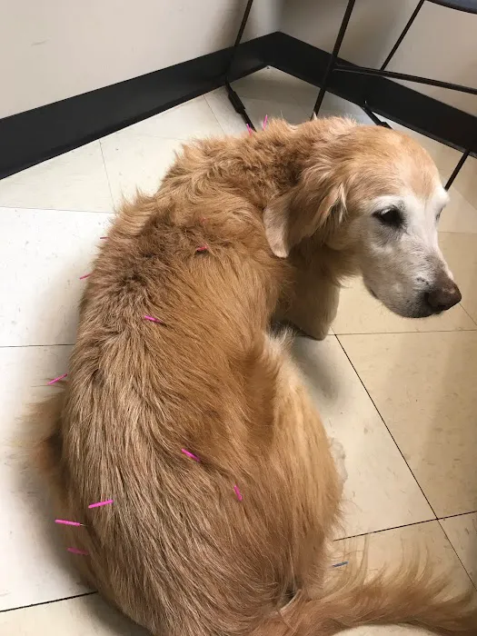 Banks Veterinary Clinic Picture 10