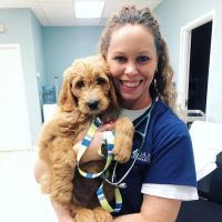 Dr. Kimberly Hill, DVM ico