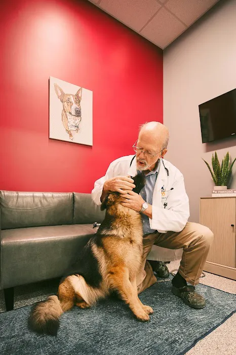 PetVet365 Pet Hospital Lexington/Harrodsburg Rd Picture 2