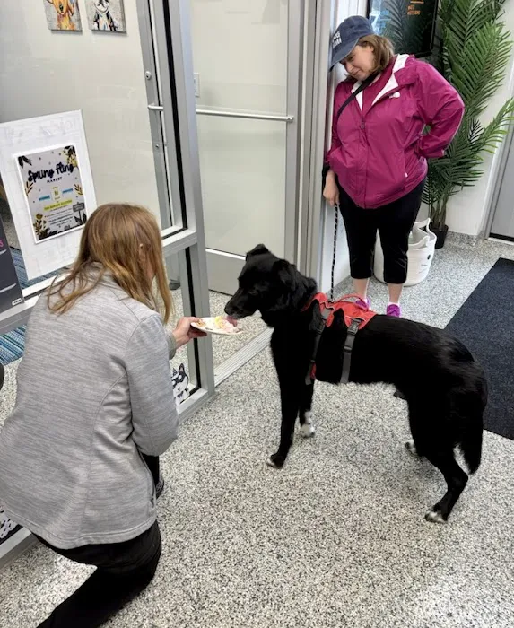 PetVet365 Pet Hospital Lexington/Harrodsburg Rd Picture 8