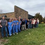 Bluegrass Equine Surgery