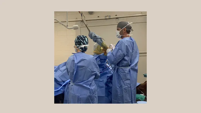 Bluegrass Equine Surgery Picture 4