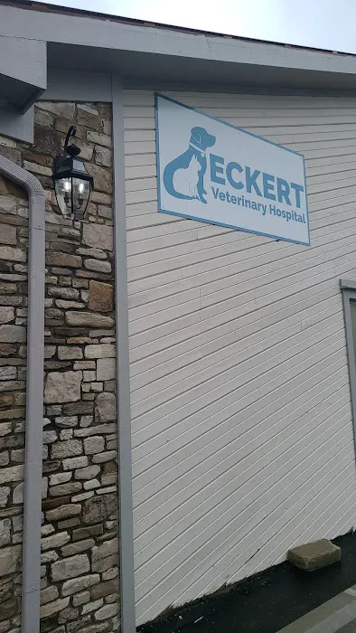 Eckert Veterinary Hospital Picture 10