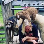Wolfe Equine Services, PLLC