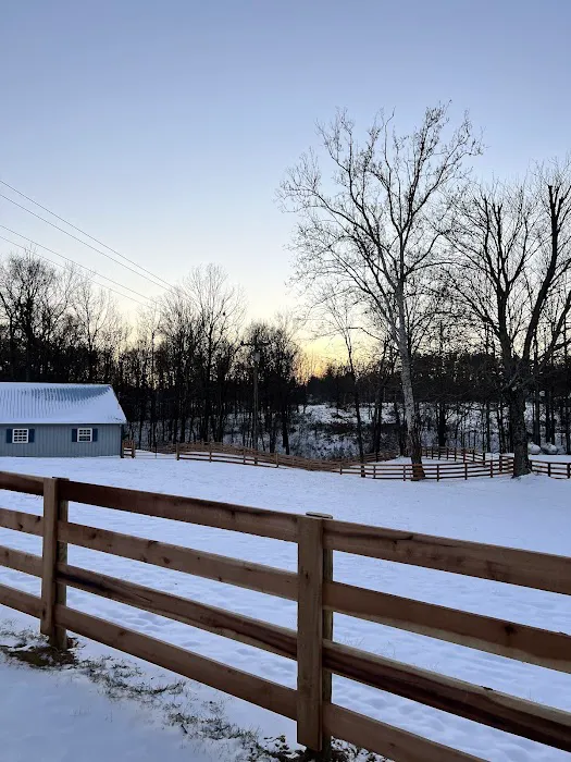 River Valley Equine Services Picture 1