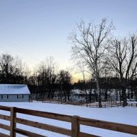 River Valley Equine Services ico