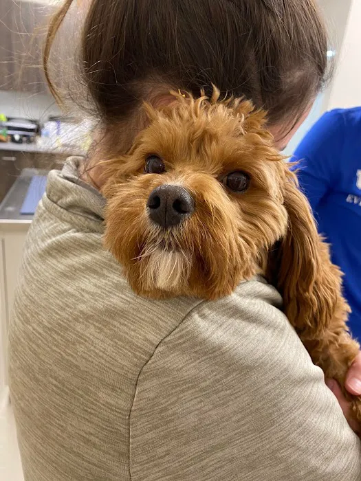 Nicholasville Road Animal Hospital Picture 5