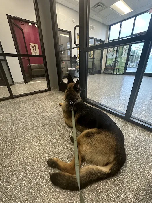 PetVet365 Pet Hospital & Dental Center Lexington/Brannon Crossing Picture 2