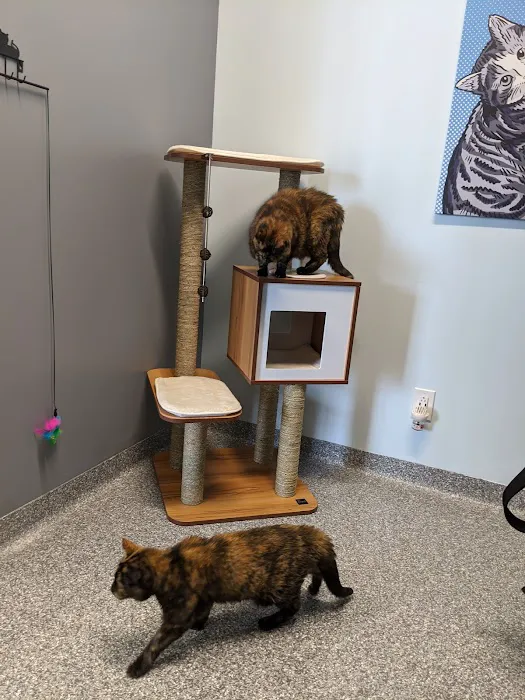 PetVet365 Pet Hospital & Dental Center Lexington/Brannon Crossing Picture 1