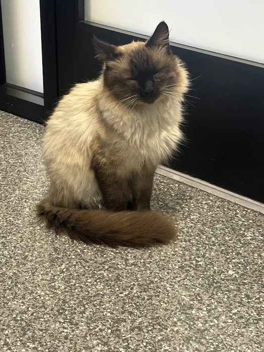 PetVet365 Pet Hospital & Dental Center Lexington/Brannon Crossing Picture 6