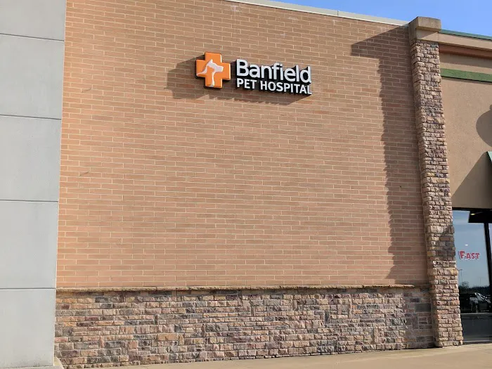 Banfield Pet Hospital Picture 9