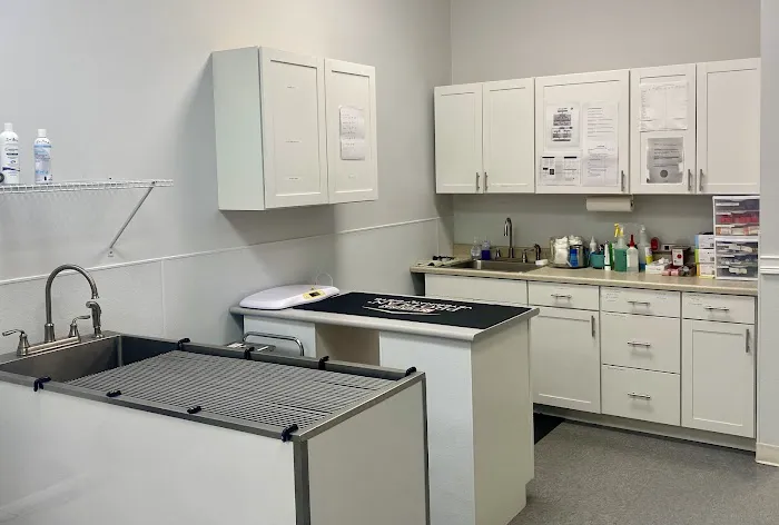 Boston Road Animal Clinic Picture 3
