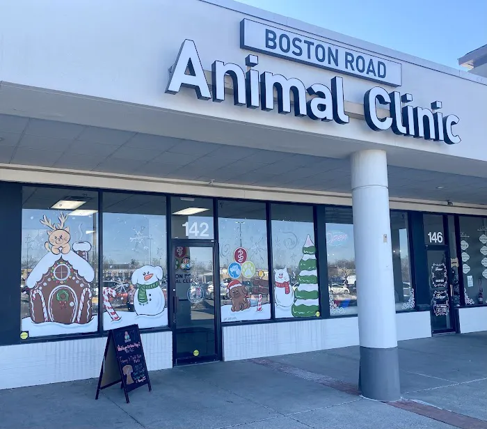 Boston Road Animal Clinic Picture 1