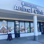 Boston Road Animal Clinic