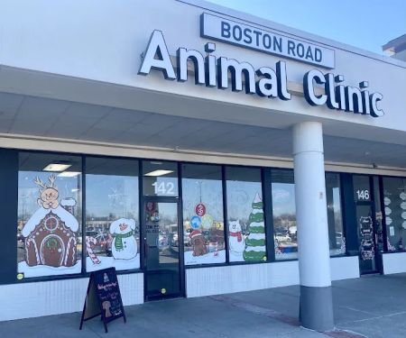 Boston Road Animal Clinic
