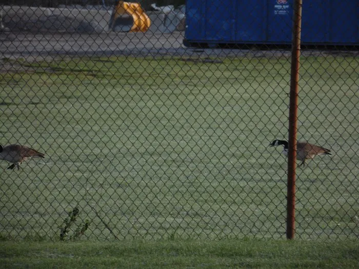 Hope Spay Neuter Clinic Picture 5