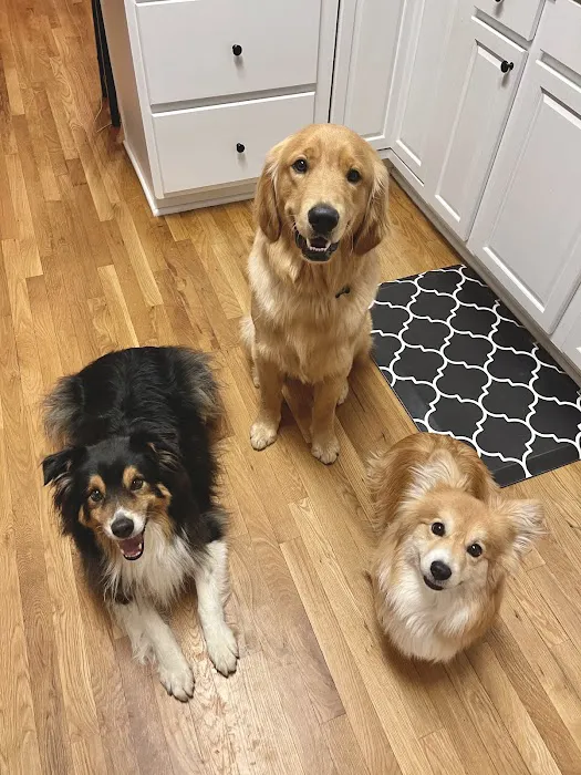 Crossroads Veterinary Clinic, LLC Picture 3