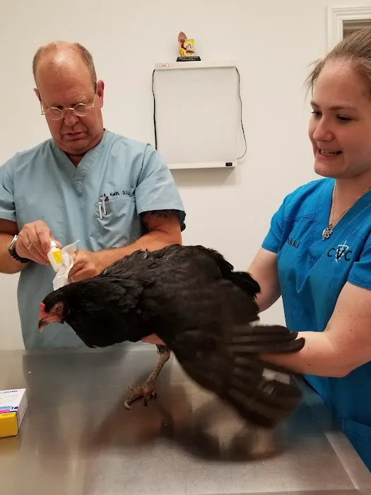 Crossroads Veterinary Clinic, LLC Picture 10