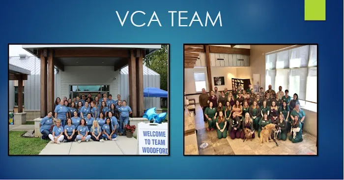 VCA Woodford Animal Hospital Picture 5