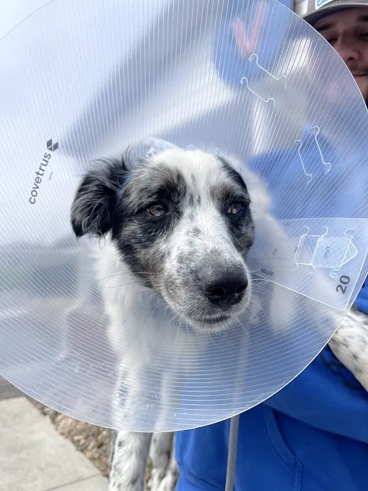 Annville Veterinary Clinic Picture 2