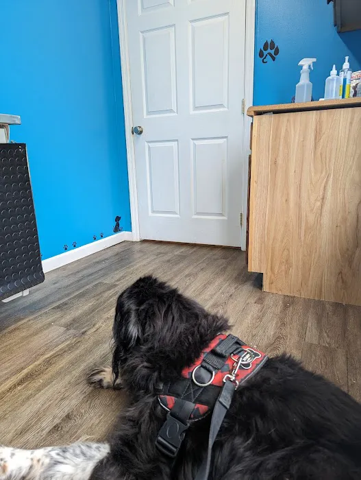 Annville Veterinary Clinic Picture 8