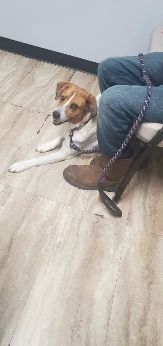 Deaton Veterinary Clinic Picture 1