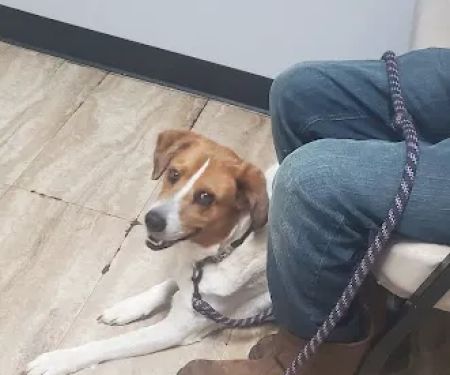 Deaton Veterinary Clinic